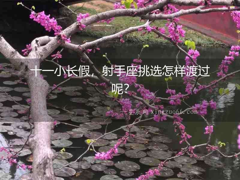 十一小長(zhǎng)假，射手座挑選怎樣渡過(guò)呢？