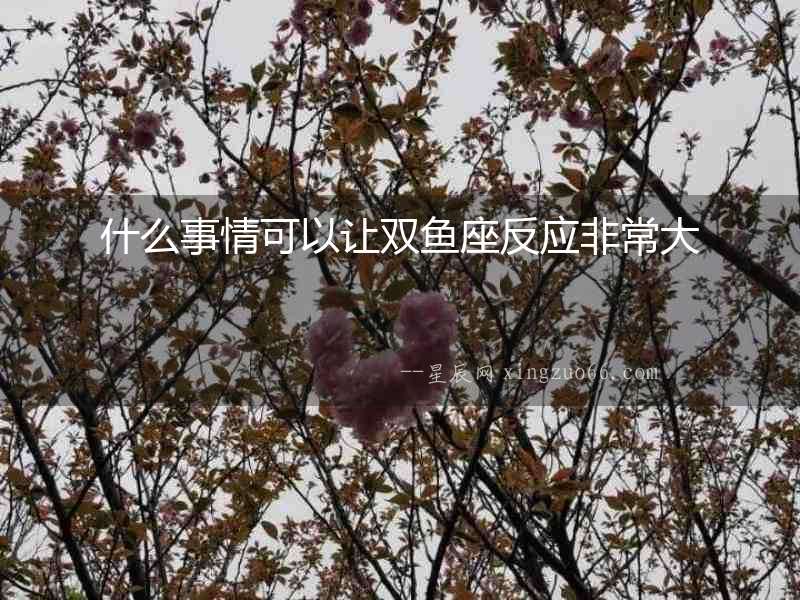 什么事情可以讓雙魚座反應非常大