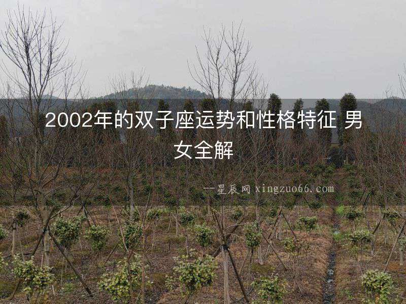 2002年的雙子座運(yùn)勢和性格特征 男女全解