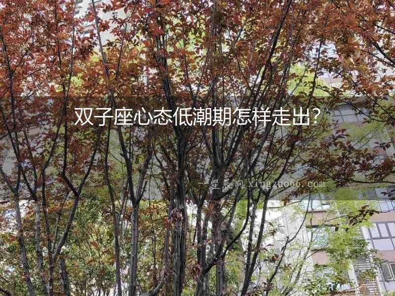 雙子座心態(tài)低潮期怎樣走出？