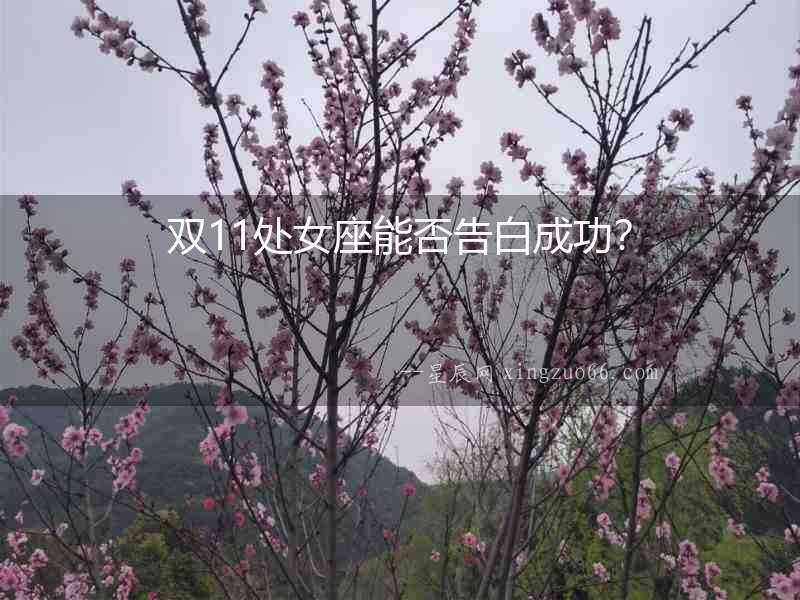 雙11處女座能否告白成功？