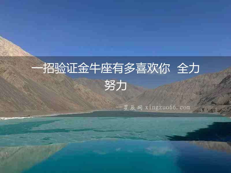 一招驗(yàn)證金牛座有多喜歡你  全力努力