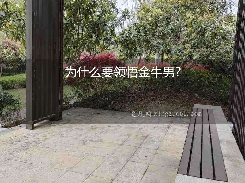 為什么要領悟金牛男？
