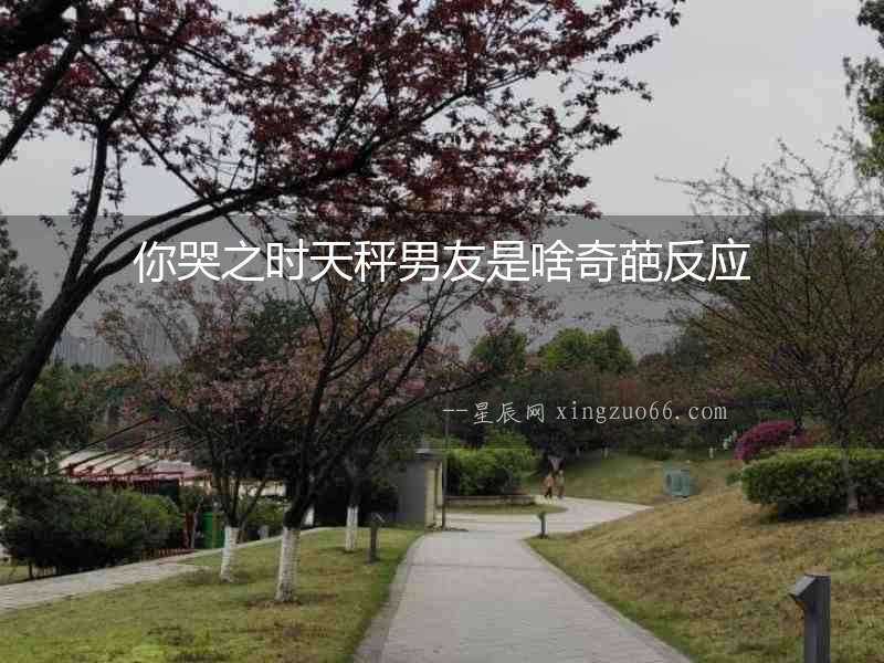 你哭之時天秤男友是啥奇葩反應
