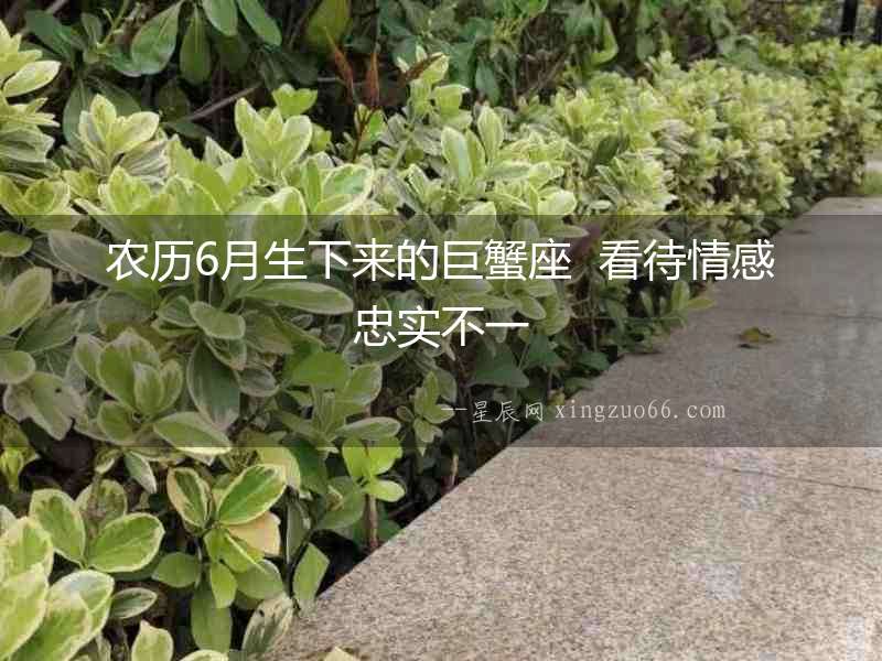 農(nóng)歷6月生下來的巨蟹座  看待情感忠實不一