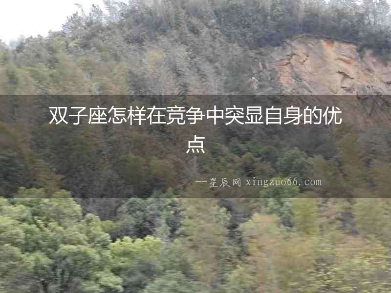 雙子座怎樣在競(jìng)爭(zhēng)中突顯自身的優(yōu)點(diǎn)