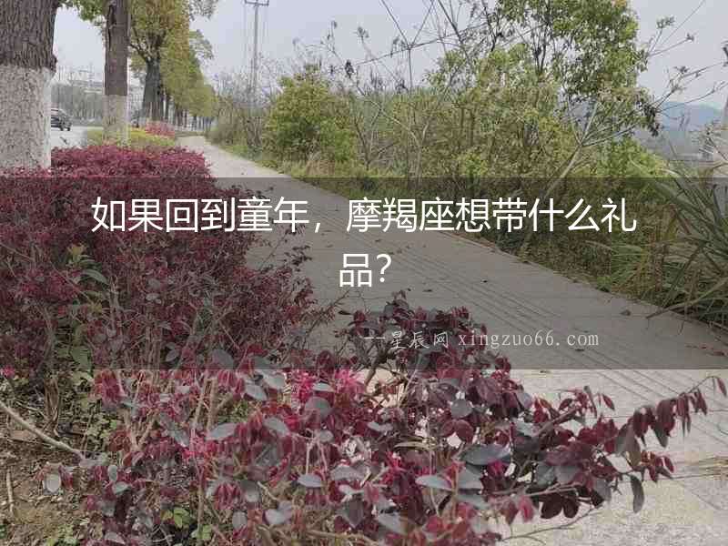 如果回到童年，摩羯座想帶什么禮品？