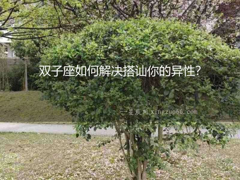 雙子座如何解決搭訕你的異性？
