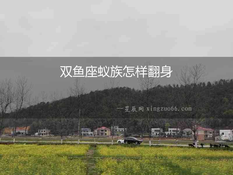 雙魚座蟻族怎樣翻身
