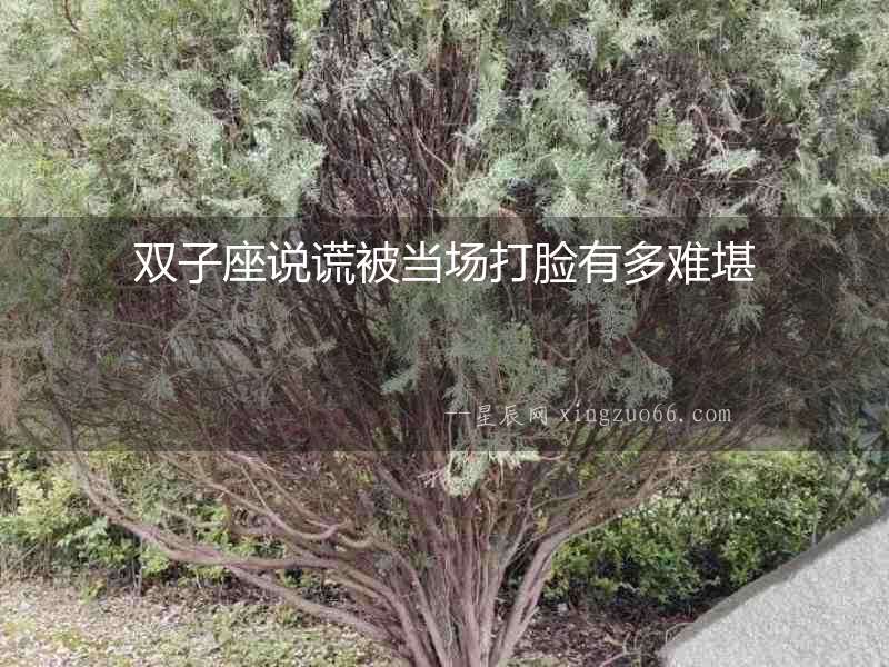 雙子座說(shuō)謊被當(dāng)場(chǎng)打臉有多難堪