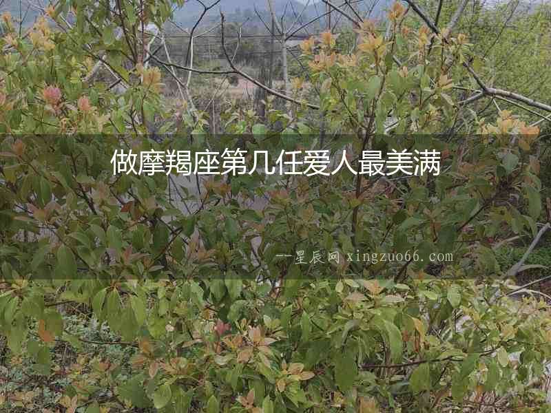 做摩羯座第幾任愛人最美滿