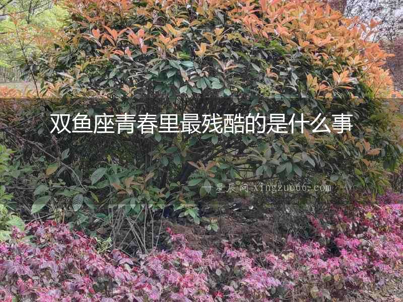雙魚(yú)座青春里最殘酷的是什么事