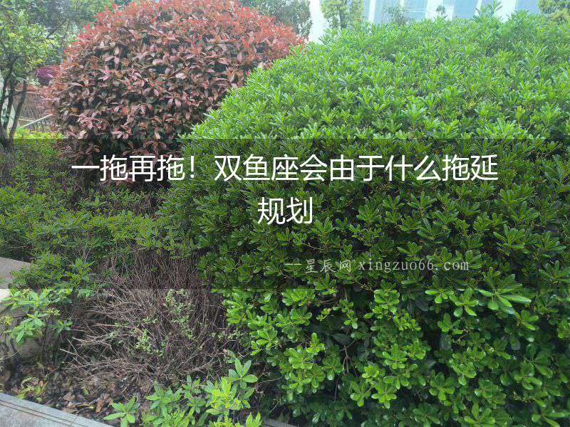 一拖再拖！雙魚座會由于什么拖延規(guī)劃