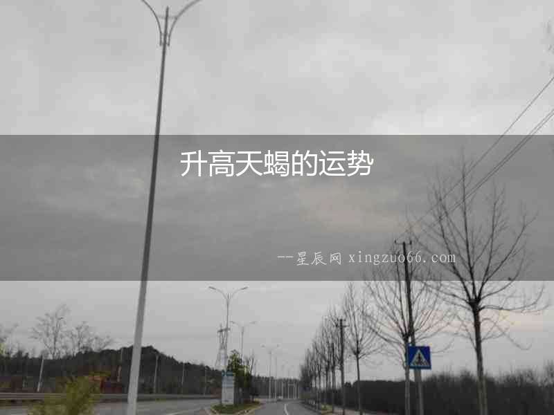 升高天蝎的運勢
