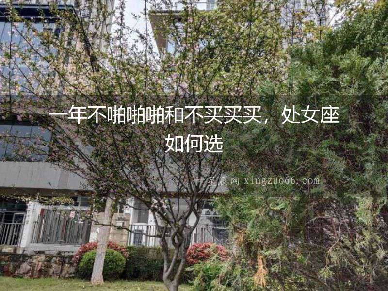一年不啪啪啪和不買買買，處女座如何選