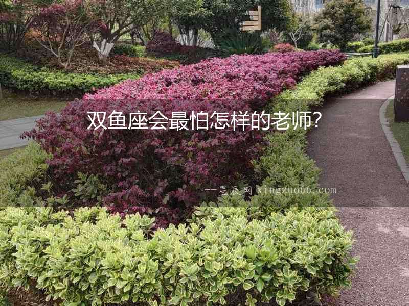雙魚座會最怕怎樣的老師？