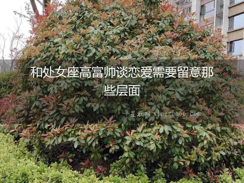 和處女座高富帥談戀愛需要留意那些層面