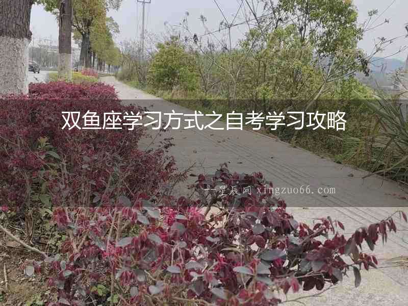 雙魚座學習方式之自考學習攻略
