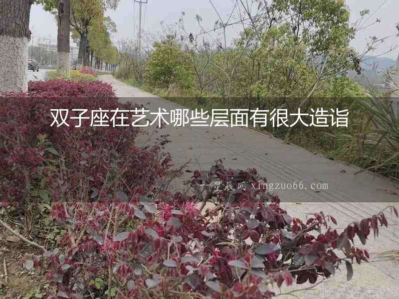 雙子座在藝術哪些層面有很大造詣