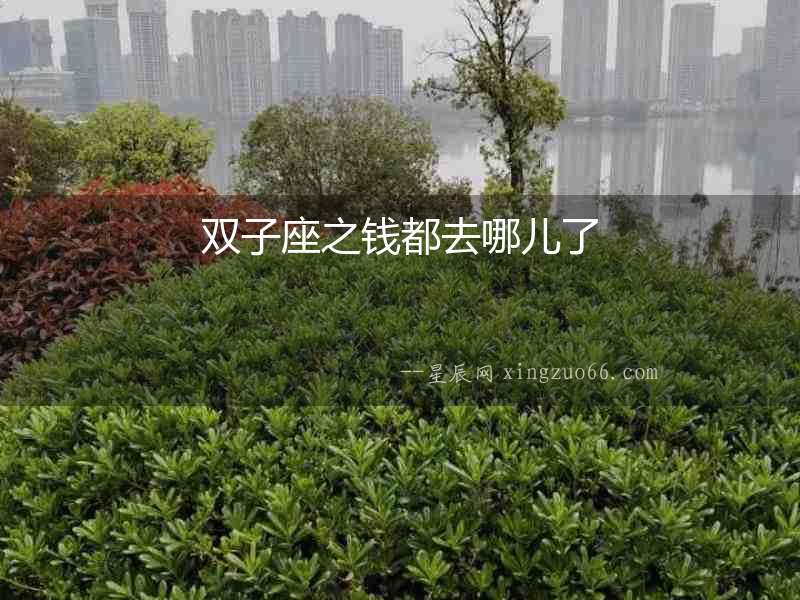 雙子座之錢都去哪兒了