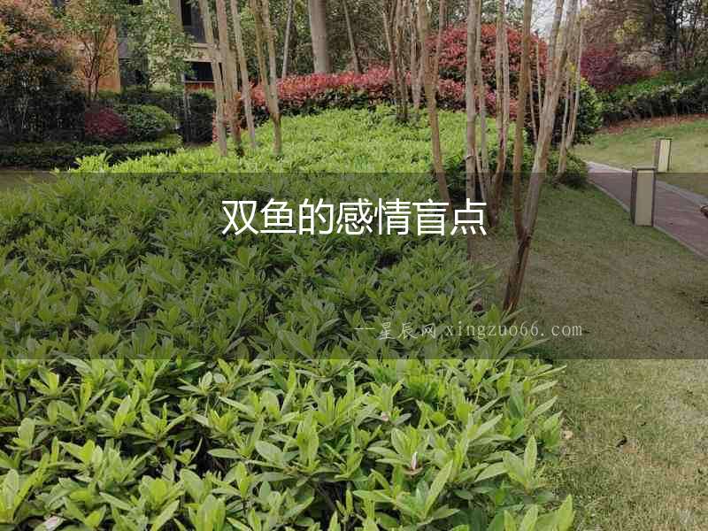 雙魚的感情盲點
