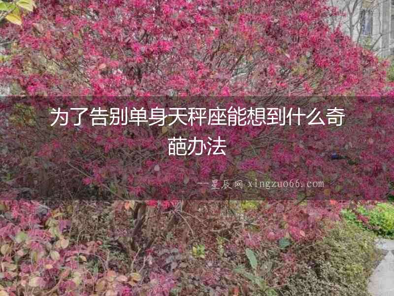 為了告別單身天秤座能想到什么奇葩辦法