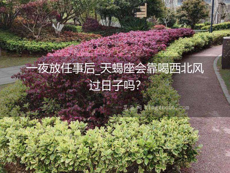一夜放任事后_天蝎座會靠喝西北風過日子嗎？