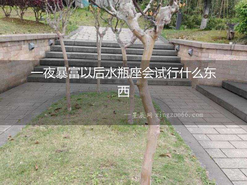 一夜暴富以后水瓶座會(huì)試行什么東西