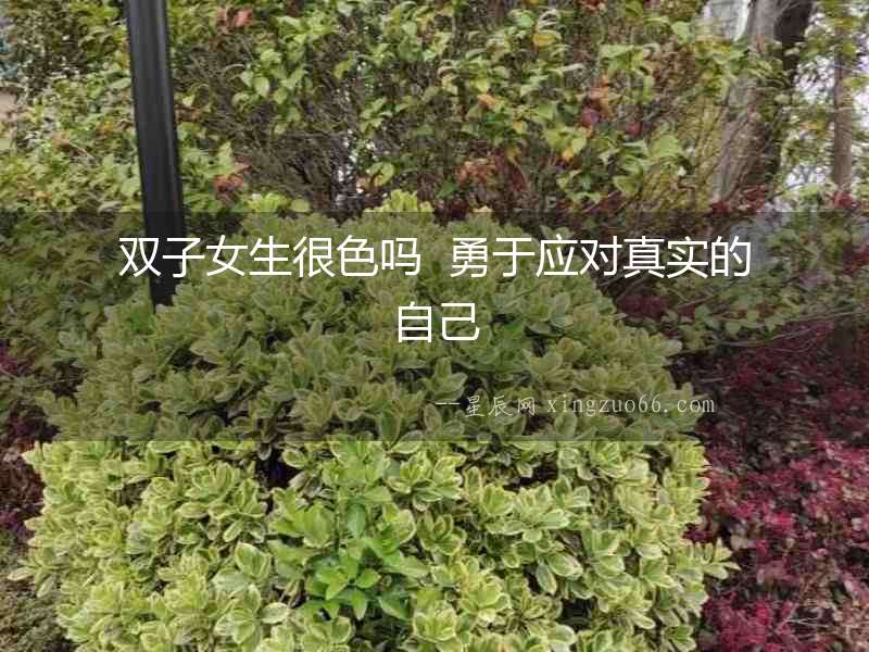 雙子女生很色嗎  勇于應(yīng)對(duì)真實(shí)的自己
