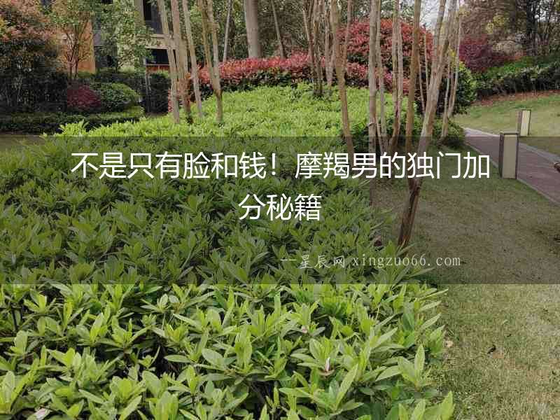 不是只有臉和錢！摩羯男的獨門加分秘籍