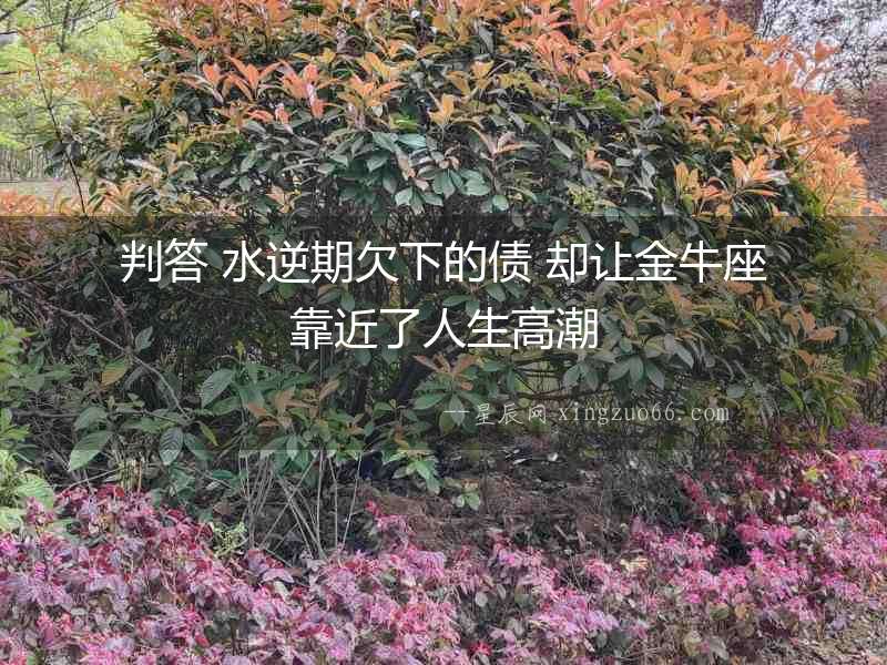判答 水逆期欠下的債 卻讓金牛座靠近了人生高潮