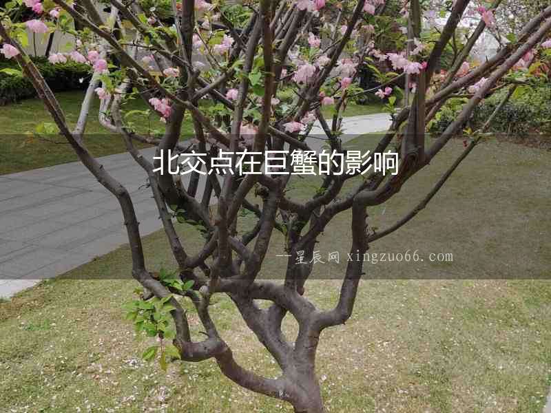 北交點在巨蟹的影響