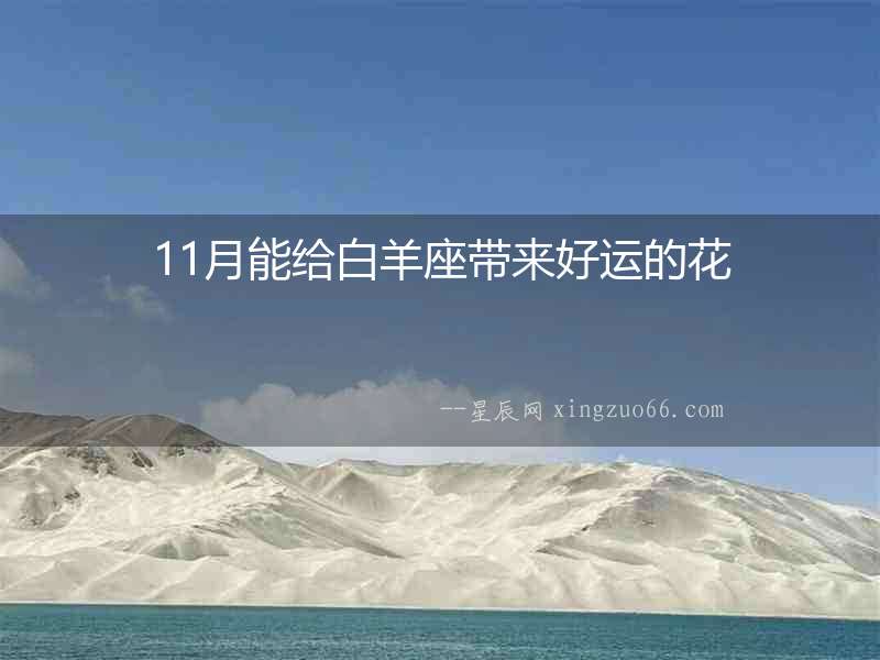 11月能給白羊座帶來(lái)好運(yùn)的花