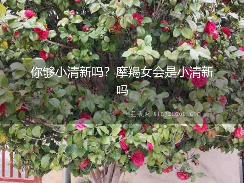 你夠小清新嗎？摩羯女會是小清新嗎