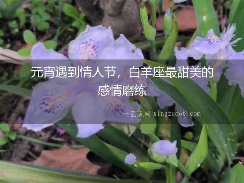 元宵遇到情人節，白羊座最甜美的感情磨練