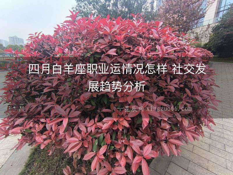 四月白羊座職業(yè)運(yùn)情況怎樣 社交發(fā)展趨勢(shì)分析