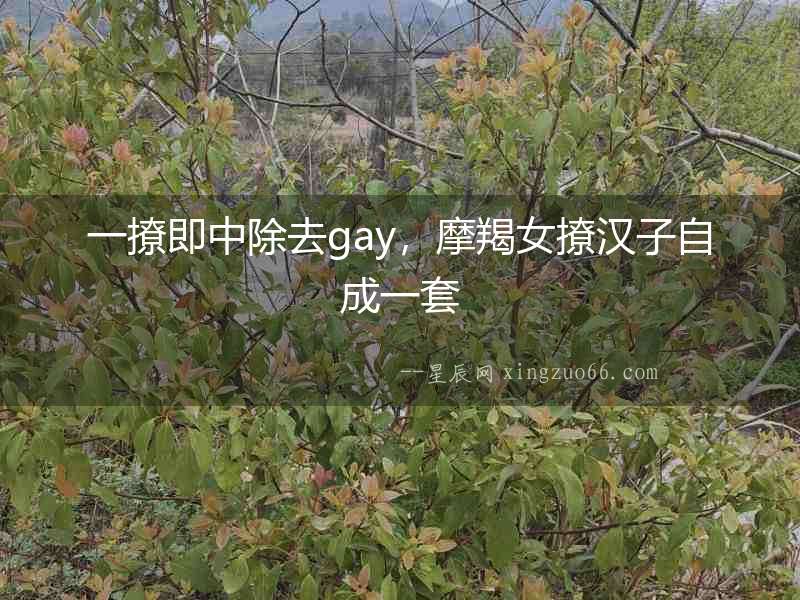 一撩即中除去gay，摩羯女撩漢子自成一套