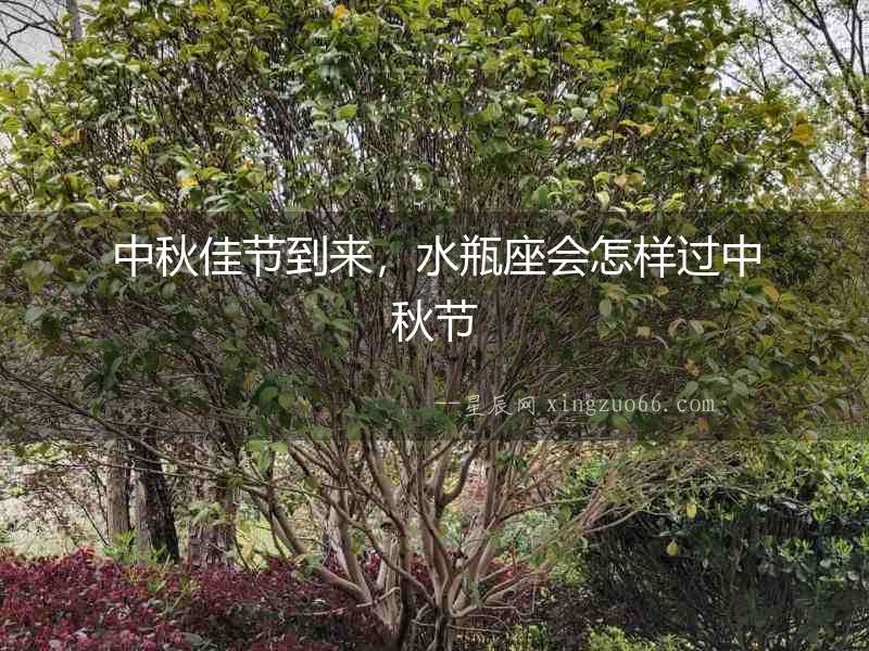 中秋佳節到來，水瓶座會怎樣過中秋節