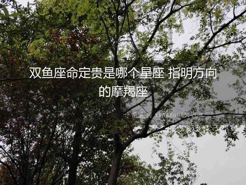 雙魚座命定貴是哪個星座 指明方向的摩羯座