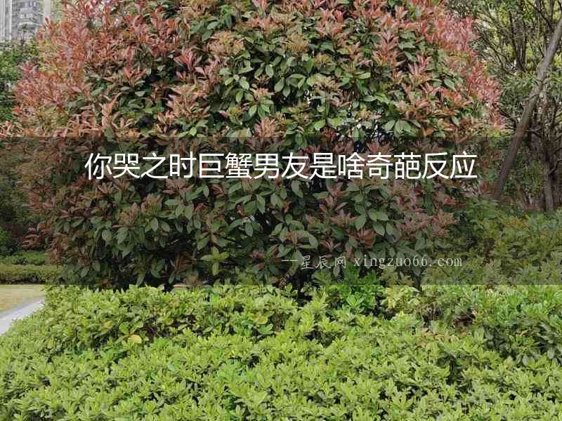 你哭之時巨蟹男友是啥奇葩反應