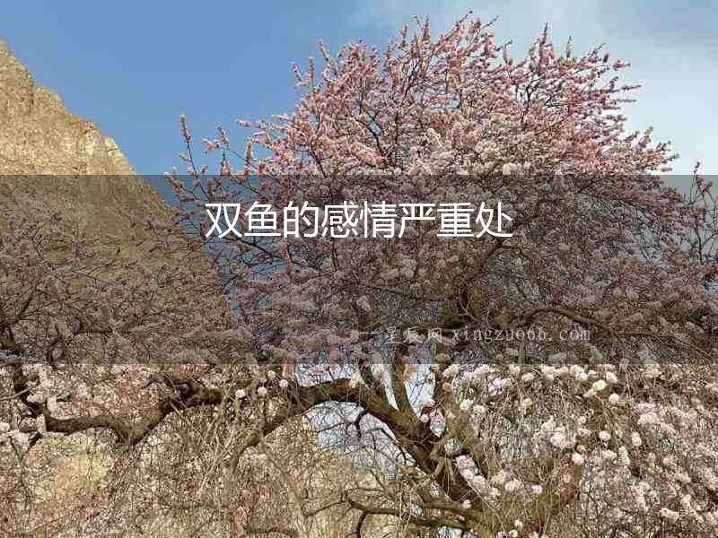 雙魚的感情嚴(yán)重處