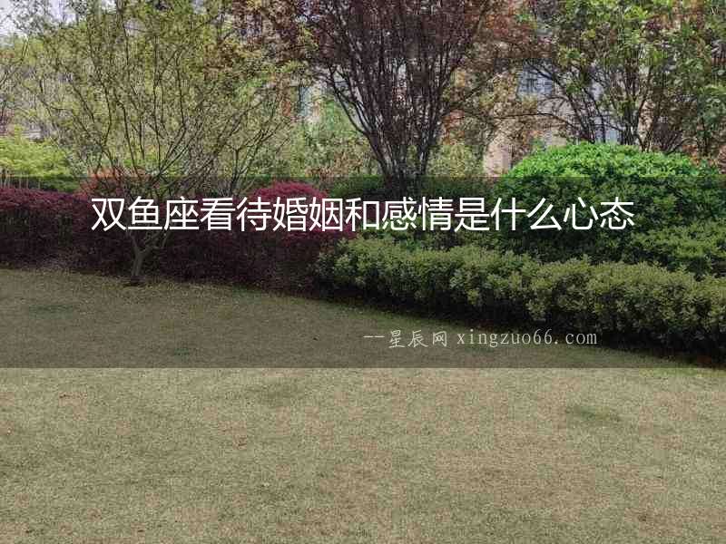 雙魚座看待婚姻和感情是什么心態(tài)