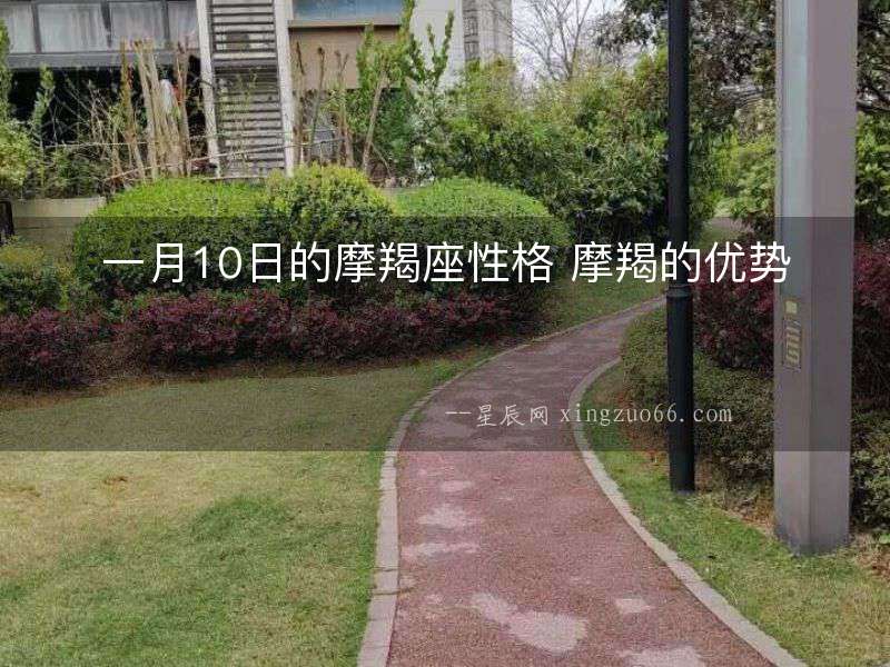 一月10日的摩羯座性格 摩羯的優(yōu)勢(shì)