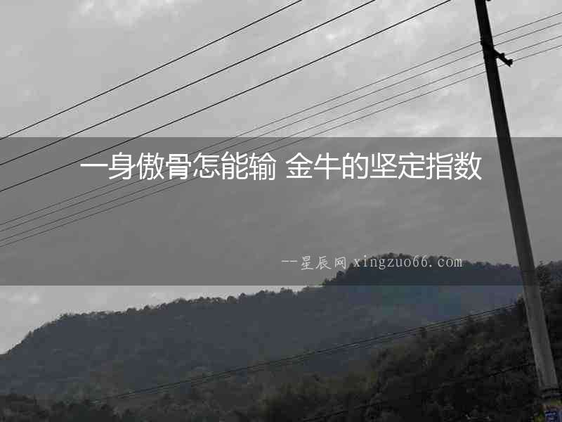 一身傲骨怎能輸 金牛的堅(jiān)定指數(shù)