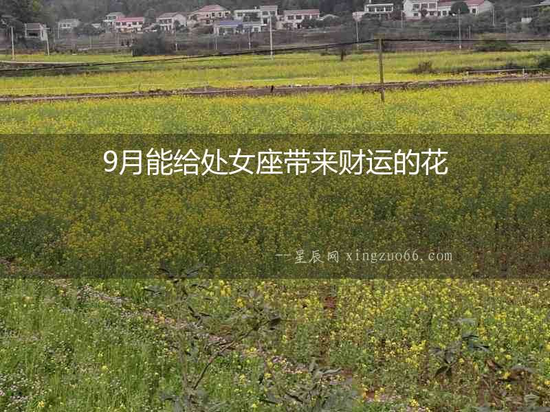 9月能給處女座帶來(lái)財(cái)運(yùn)的花