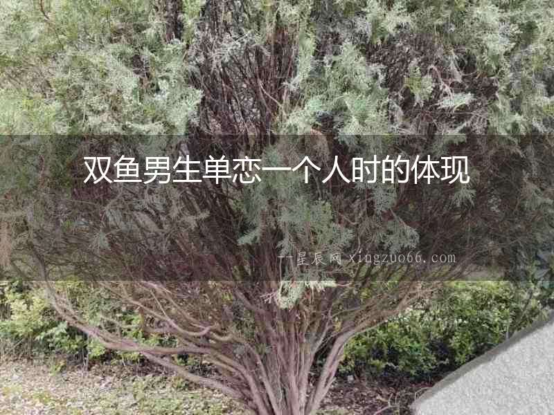 雙魚(yú)男生單戀一個(gè)人時(shí)的體現(xiàn)