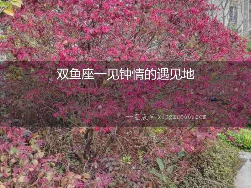 雙魚(yú)座一見(jiàn)鐘情的遇見(jiàn)地