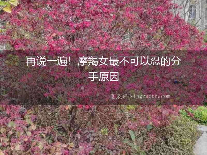 再說一遍！摩羯女最不可以忍的分手原因