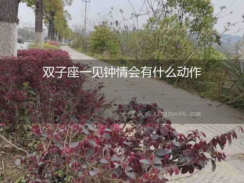 雙子座一見鐘情會有什么動作