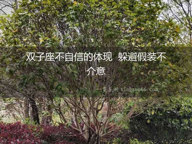 雙子座不自信的體現(xiàn)  躲避假裝不介意